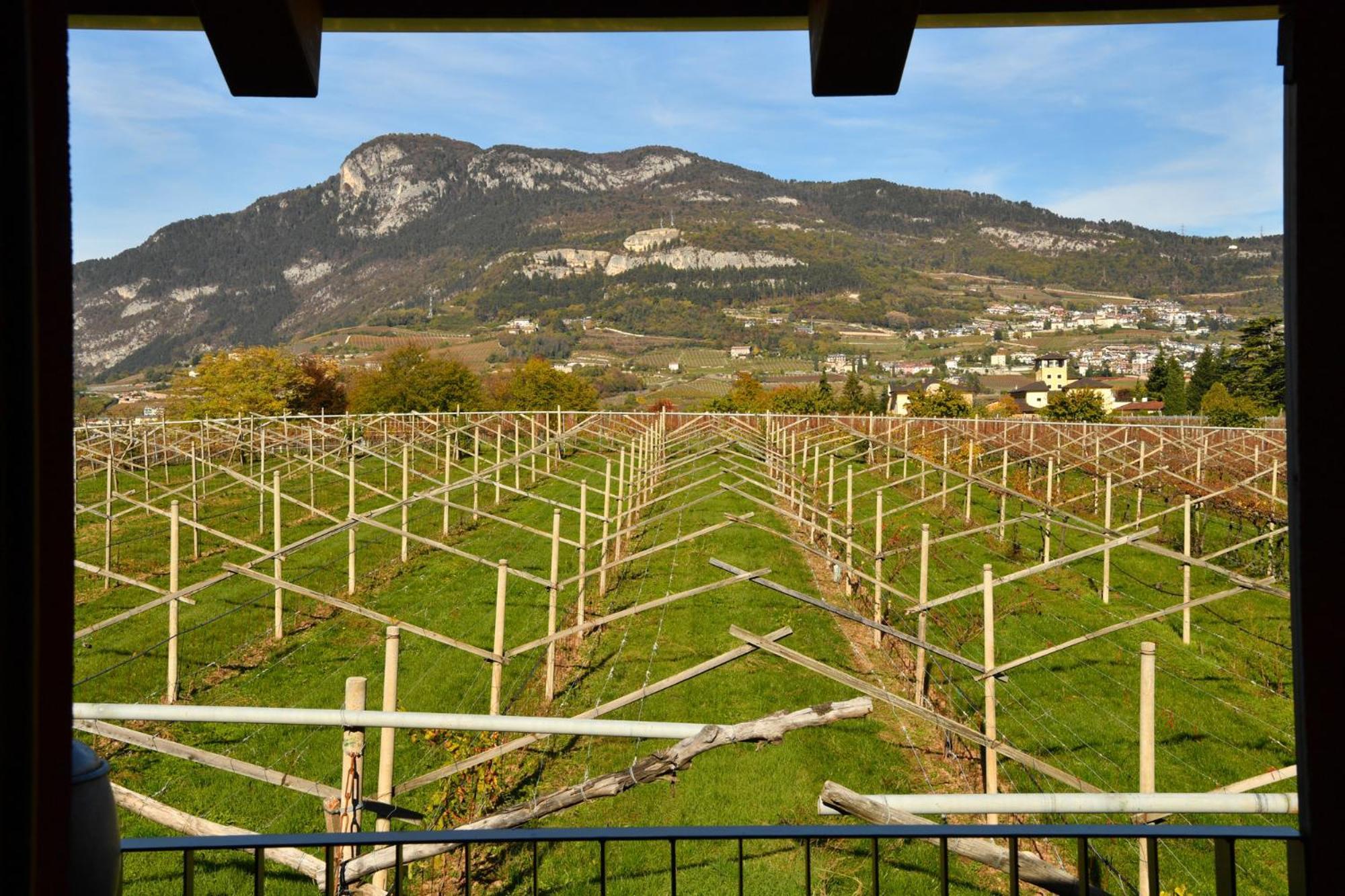 Willa 8 Grappoli Agritur Trydent Zewnętrze zdjęcie